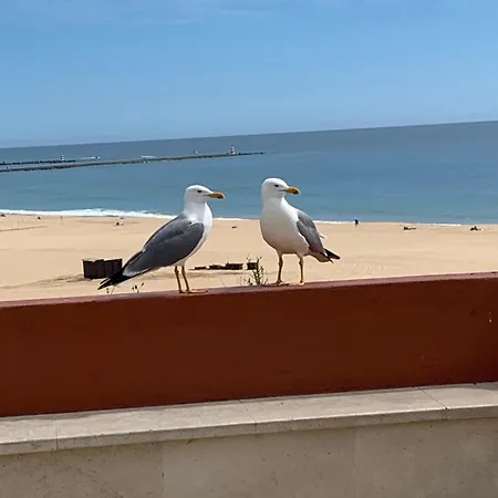 Aconchegante, Da Rocha Апартаменти Портіман