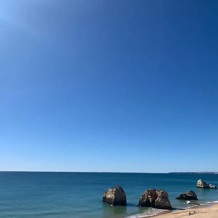 Aconchegante, Da Rocha *