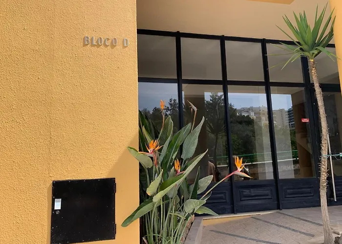 Apartment Aconchegante, Da Rocha