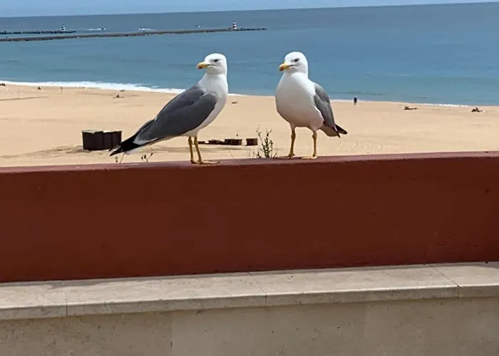 Aconchegante, Da Rocha Appartement