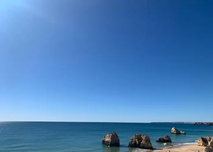 Aconchegante, Da Rocha *