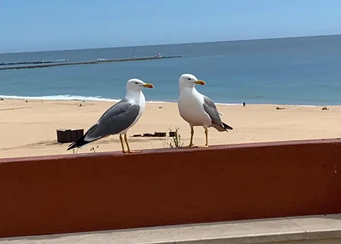 Aconchegante, Da Rocha Appartement Portimão